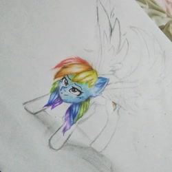 Size: 1080x1080 | Tagged: safe, alternate version, artist:cats_drawings_cos, imported from derpibooru, rainbow dash, pegasus, pony, female, mare, partial color, smiling, solo, traditional art, wings