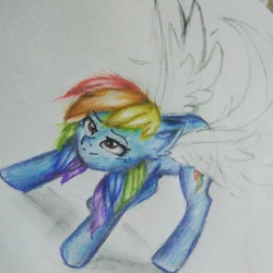 Size: 1080x1080 | Tagged: safe, alternate version, artist:cats_drawings_cos, imported from derpibooru, rainbow dash, pegasus, pony, female, mare, partial color, smiling, solo, traditional art, wings