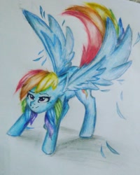 Size: 1080x1350 | Tagged: safe, alternate version, artist:cats_drawings_cos, imported from derpibooru, rainbow dash, pegasus, pony, colored, female, mare, smiling, solo, traditional art, wings