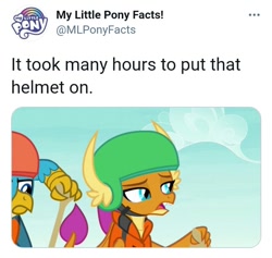 Size: 713x677 | Tagged: safe, edit, edited screencap, imported from derpibooru, screencap, gallus, smolder, dragon, griffon, non-compete clause, dragoness, female, helmet, male, meta, my little pony facts, text, twitter, twitter link
