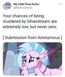 Size: 717x853 | Tagged: safe, imported from derpibooru, silverstream, meta, my little pony facts, ron the death eater, text, twitter, twitter link, your chances are low but never zero