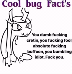 Size: 750x768 | Tagged: safe, artist:jargon scott, edit, imported from derpibooru, queen chrysalis, changeling, changeling queen, animated, change da world my final message. goodb ye, cluster f-bomb, cool bug facts, facts, female, fuck you, grammar error, idiot, insult, meme, ponified meme, solo, sound, vulgar, webm, you