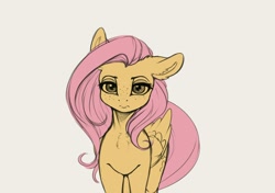 Size: 3020x2128 | Tagged: safe, artist:miokomata, imported from derpibooru, fluttershy, pegasus, pony, female, floppy ears, freckles, freckleshy, looking at you, mare, simple background, solo, wip