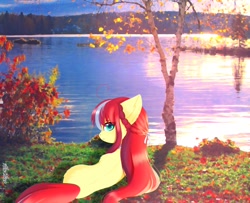 Size: 1846x1499 | Tagged: safe, artist:aleuoliver, artist:aleurajan, imported from derpibooru, oc, oc only, earth pony, pony, earth pony oc, female, lake, looking back, lying down, mare, outdoors, prone, solo, tree