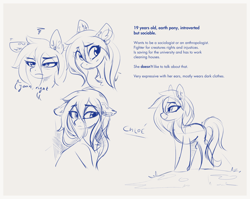 Size: 2880x2298 | Tagged: safe, artist:aureai-sketches, imported from derpibooru, oc, oc only, oc:chloé, earth pony, pony, expressions, female, mare, simple background, sketch, solo