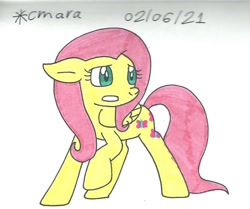 Size: 1010x843 | Tagged: safe, artist:cmara, imported from derpibooru, fluttershy, pegasus, pony, female, gritted teeth, mare, raised hoof, scared, simple background, solo, traditional art, white background