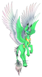 Size: 2165x3937 | Tagged: safe, artist:minelvi, imported from derpibooru, oc, oc only, pegasus, pony, ear fluff, eyelashes, flying, pegasus oc, peytral, signature, simple background, solo, transparent background, two toned wings, unshorn fetlocks, wings