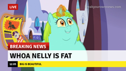 Size: 1280x720 | Tagged: safe, edit, edited screencap, imported from derpibooru, screencap, whoa nelly, pony, unicorn, canterlot boutique, season 5, break your own news, breaking news, captain obvious, fat
