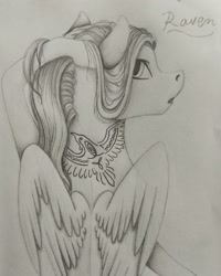Size: 1080x1350 | Tagged: safe, artist:pony_riart, imported from derpibooru, oc, oc only, pegasus, pony, bust, grayscale, inktober 2020, looking back, monochrome, pegasus oc, signature, tattoo, traditional art, wings