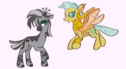 Size: 540x296 | Tagged: safe, artist:fizpup, imported from derpibooru, queen chrysalis, zecora, changedling, changeling, zebra, bracelet, changelingified, chrysalcora, cute, cutealis, ear piercing, earring, female, flying, jewelry, lesbian, lidded eyes, mare, neck rings, piercing, quadrupedal, role reversal, simple background, species swap, white background, zebrafied, zecorable, zecoralis