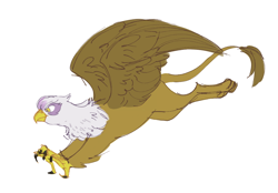 Size: 1000x694 | Tagged: safe, artist:pigeorgien, imported from derpibooru, gilda, griffon, catbird, claws, cute, female, flying, gildadorable, hunting, pounce, simple background, solo, spread wings, talons, white background, wings