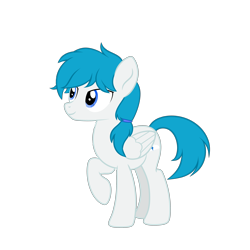 Size: 3650x3650 | Tagged: safe, artist:sporadic night, imported from derpibooru, oc, oc only, oc:snowy welkin, pegasus, pony, male, solo