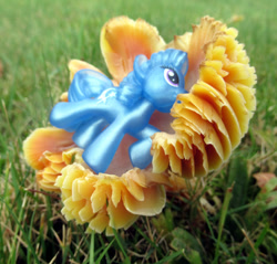 Size: 640x613 | Tagged: safe, imported from derpibooru, trixie, fungus, mushroom, photo, toy