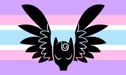 Size: 5000x3000 | Tagged: safe, imported from derpibooru, pegasus, ponygender, pride flag