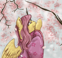 Size: 3000x2792 | Tagged: safe, artist:shamy-crist, imported from derpibooru, fluttershy, pegasus, pony, cherry blossoms, clothes, flower, flower blossom, kimono (clothing), solo