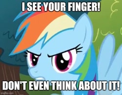 Size: 566x441 | Tagged: safe, artist:thegamerpainter, imported from ponybooru, screencap, pegasus, pony, caption, image macro, looking at you, meme, solo, spread wings, text, this will end in boops, wings