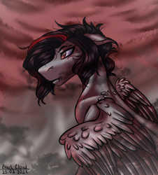 Size: 2894x3207 | Tagged: safe, artist:blackcloud2000, imported from derpibooru, oc, oc only, oc:black cloud, pegasus, pony, male, solo, stallion