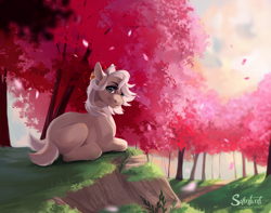 Size: 1900x1500 | Tagged: safe, artist:silentwulv, imported from derpibooru, oc, oc only, oc:clay, oc:clay akuma, earth pony, fennec fox, fox, fox pony, hybrid, original species, pony, cherry blossoms, double tail, female, flower, flower blossom, lying down, mare, prone, solo, tree