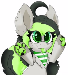 Size: 2736x3000 | Tagged: safe, artist:pegamutt, imported from derpibooru, oc, oc only, oc:bree, oc:bree jetpaw, pegasus, pony, big ears, clothes, colored tongue, cowlick, curly tail, fangs, fluffy, freckles, paw pads, paws, pegamutt, scarf, solo, spots, tongue out