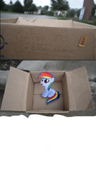 Size: 400x737 | Tagged: safe, editor:lovetime17, imported from derpibooru, rainbow dash, pegasus, pony, blank, evil people finding dash meme, exploitable meme, female, filly, good people finding dash meme, insert picture here, meme, meme template, obligatory pony, solo