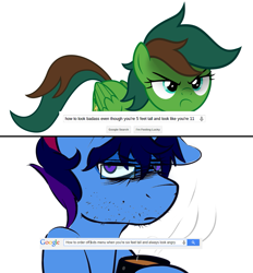 Size: 945x1020 | Tagged: safe, artist:earth_pony_colds, artist:supermark, artist:wickedsilly, edit, editor:supermark, imported from derpibooru, oc, oc only, oc:marquis majordome, oc:windy barebow evergreen, pegasus, unicorn, 2 panel comic, comic, funny, google, google search, mcdonald's, meme, recolor, small pony, upset