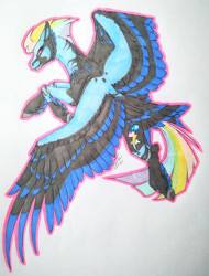 Size: 1920x2522 | Tagged: safe, artist:oneiria-fylakas, imported from derpibooru, rainbow dash, pony, alternate design, solo, tail feathers, traditional art