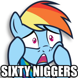 Size: 894x894 | Tagged: artist needed, source needed, safe, imported from ponybooru, rainbow dash, pegasus, pony, caption, female, image macro, impact font, niggers, simple background, solo, stare, text, transparent background, worried