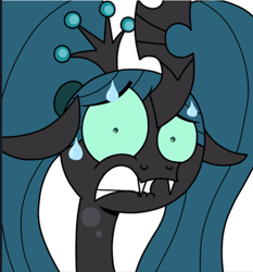 Size: 864x927 | Tagged: safe, artist:jay muniz, edit, imported from derpibooru, queen chrysalis, changeling, changeling queen, pony, ask crinkle bottom chrysalis, cropped, crown, female, floppy ears, frown, funny, jewelry, lip bite, looking at you, pigtails, reaction image, regalia, scared, simple background, solo, sweat, white background