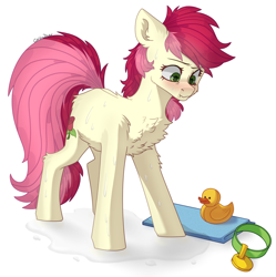 Size: 2500x2509 | Tagged: safe, artist:chibadeer, imported from derpibooru, roseluck, earth pony, pony, behaving like a cat, blushing, chest fluff, collar, commissioner:doom9454, cute, female, fluffy, leg fluff, mare, pet tag, pony pet, rosepet, solo, wet