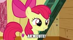Size: 888x499 | Tagged: safe, imported from derpibooru, apple bloom, earth pony, pony, the fault in our cutie marks, accent, adorabloom, apple bloom's bow, bow, captain obvious, clubhouse, crusaders clubhouse, cute, cutie mark, female, filly, hair bow, i'm cute, meme, solo