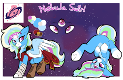 Size: 3224x2096 | Tagged: safe, artist:beardie, imported from derpibooru, oc, oc only, oc:nebula swirl, oc:sugardawn, pegasus, pony, boots, clothes, coat markings, commission, dock, featureless crotch, intersex, shoes, socks (coat marking), socks (coat markings), third eye, three eyes, transgender, two toned wings, underhoof, wings