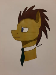 Size: 569x759 | Tagged: safe, artist:yukine001, imported from derpibooru, doctor whooves, time turner, earth pony, pony, male, necktie, solo, stallion, traditional art