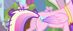 Size: 1922x841 | Tagged: safe, imported from derpibooru, screencap, princess cadance, alicorn, pony, a canterlot wedding, butt, cropped, female, folded wings, lovebutt, low quality, mare, messy tail, pictures of butts, plot, solo, wings