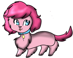 Size: 1240x988 | Tagged: safe, artist:mar8le-s0da, imported from derpibooru, pinkie pie, dog, cute, dachshund, solo, species swap