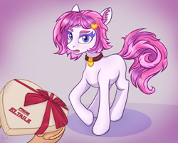 Size: 4000x3208 | Tagged: safe, artist:eltaile, imported from derpibooru, oc, oc:ronya, pony, box, chocolate, choker, duo, female, food, heart, open mouth, present, ribbon
