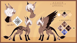 Size: 3990x2230 | Tagged: safe, artist:honeybbear, imported from derpibooru, oc, oc only, oc:asher, pegasus, pony, male, reference sheet, solo, stallion, two toned wings, wings