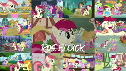 Size: 1974x1111 | Tagged: safe, edit, edited screencap, editor:quoterific, imported from derpibooru, screencap, angel bunny, berry punch, berryshine, bon bon, carrot top, cherry berry, cloud kicker, daisy, doctor whooves, flower wishes, fluttershy, golden harvest, goldengrape, gooseberry, lemon hearts, lily, lily valley, pokey pierce, roseluck, sassaflash, scootaloo, seabreeze, sir colton vines iii, starlight glimmer, sugar belle, sweetie drops, time turner, breezie, earth pony, pegasus, pony, unicorn, a friend in deed, a trivial pursuit, applebuck season, best gift ever, bridle gossip, it ain't easy being breezies, it isn't the mane thing about you, no second prances, she talks to angel, slice of life (episode), student counsel, the big mac question, 3d glasses, bipedal, bipedal leaning, body swap, clothes, ear fluff, eyes closed, female, filly, flower, flower trio, friendship student, hat, helmet, leaning, male, older, older scootaloo, open mouth, scarf, school of friendship, scooter, trotting, twilight's castle, walking, winter outfit