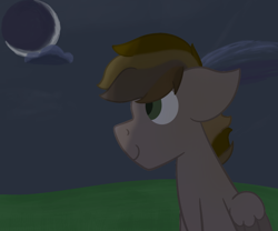Size: 1200x1000 | Tagged: safe, artist:derpy_the_duck, imported from derpibooru, oc, oc only, oc:endi, pegasus, pony, background, field, moon, night, solo
