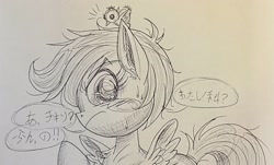Size: 2271x1375 | Tagged: artist needed, source needed, safe, imported from derpibooru, scootaloo, bird, chicken, pegasus, pony, anime, female, japanese, scootachicken, traditional art