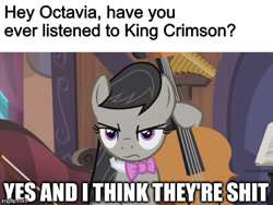Size: 577x433 | Tagged: safe, octavia melody, caption, cello, image macro, looking at you, meme, musical instrument, text