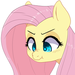 Size: 850x850 | Tagged: safe, artist:h-hrukii, artist:hrukii, artist:navokin, imported from derpibooru, fluttershy, pony, :t, blushing, bust, colored pupils, cute, female, looking down, mare, portrait, scrunch, scrunchy face, shyabetes, simple background, solo, three quarter view, transparent background