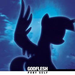 Size: 1200x1204 | Tagged: safe, artist:igokapichka, imported from derpibooru, twilight sparkle, alicorn, pony, godflesh, ponified, ponified album cover, silhouette, solo, twilight sparkle (alicorn)