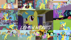 Size: 1974x1110 | Tagged: safe, edit, edited screencap, editor:quoterific, imported from derpibooru, screencap, autumn leaf, blues, bon bon, carrot top, coco crusoe, comet tail, daisy, derpy hooves, diamond mint, diamond tiara, flower wishes, frazzle rock, golden harvest, lavender cascade, lemon hearts, lightning bolt, linky, lyra heartstrings, moondancer, neon lights, noteworthy, pokey pierce, rainbowshine, rising star, sassaflash, shoeshine, soigne folio, spike, sweetie belle, sweetie drops, twilight sparkle, white lightning, alicorn, dragon, earth pony, pegasus, pony, unicorn, a hearth's warming tail, amending fences, applebuck season, celestial advice, crusaders of the lost mark, for whom the sweetie belle toils, green isn't your color, luna eclipsed, princess spike (episode), slice of life (episode), the super speedy cider squeezy 6000, trade ya, yakity-sax, apple, background pony, bag, bipedal, clothes, costume, crying, duo, eyes closed, female, filly, filly lemon hearts, filly moondancer, flower, flower pot, food, gasp, glowing horn, hat, horn, jewelry, magic, magic aura, male, mouse costume, mouth hold, nightmare night costume, open mouth, pear, potions, running, safety goggles, scarf, scepter, screaming, shocked, sour candy, teeth, tiara, trio, twilight scepter, twilight sparkle (alicorn), walking, winged spike, wings, winter hat, winter outfit, winter scarf, younger