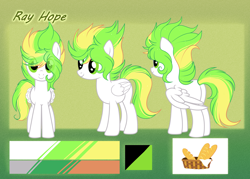 Size: 6096x4367 | Tagged: safe, artist:1fresita, artist:krissstudios, imported from derpibooru, oc, oc only, oc:ray hope, pegasus, pony, absurd resolution, female, mare, reference sheet, solo