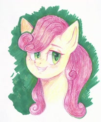 Size: 1413x1707 | Tagged: safe, artist:ske, imported from derpibooru, strawberry sunrise, pegasus, pony, marker drawing, pencil drawing, solo, traditional art