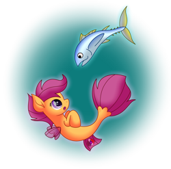 Size: 2077x2053 | Tagged: safe, artist:purplespacedragon, imported from derpibooru, scootaloo, fish, pegasus, pony, seapony (g4), clothes, dorsal fin, female, fin wings, fins, fish tail, looking at each other, open mouth, purple eyes, seaponified, seapony scootaloo, see-through, simple background, solo, species swap, tail, transparent background, tuna, underwater, water, wings
