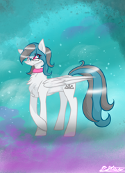 Size: 1580x2192 | Tagged: safe, artist:jane969, artist:janeblood969, imported from derpibooru, oc, oc:silver dawn, pegasus, +fluffy, +glasses, +pegasus, collar, fluffy, glasses