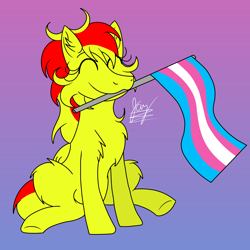 Size: 3500x3500 | Tagged: safe, artist:jay_wackal, imported from derpibooru, oc, oc only, oc:marmalade, pegasus, pony, cute, female, flag, happy, original character do not steal, pegasus oc, pride, pride flag, sitting, solo, transgender, transgender pride flag, wings