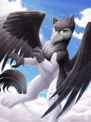 Size: 1024x1366 | Tagged: safe, artist:novaintellus, imported from derpibooru, oc, oc only, oc:greyfeather, griffon, bust, chest fluff, cloud, green eyes, griffon oc, male, portrait, solo, spread wings, wings