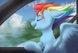 Size: 4250x2873 | Tagged: safe, artist:taytinabelle, imported from derpibooru, rainbow dash, pegasus, pony, behaving like a dog, blurred background, blurry background, blushing, car, cheek fluff, chest fluff, cloud, cute, daaaaaaaaaaaw, dashabetes, eyes closed, female, floppy ears, happy, mare, open mouth, seatbelt, smiling, solo, spread wings, windswept mane, wings
